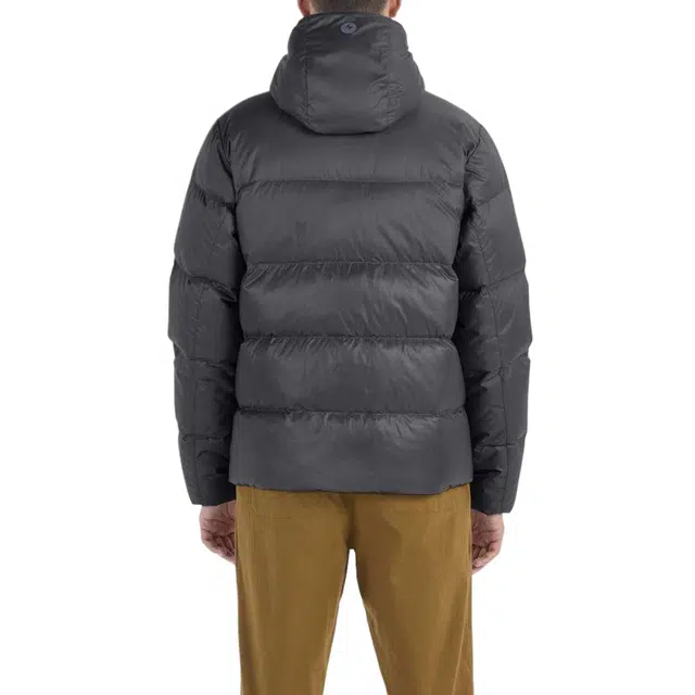 Marmot