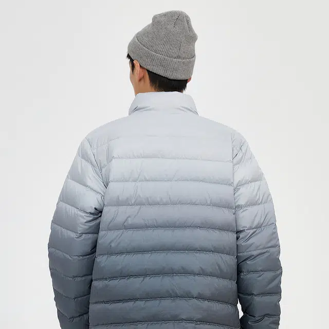 FW23