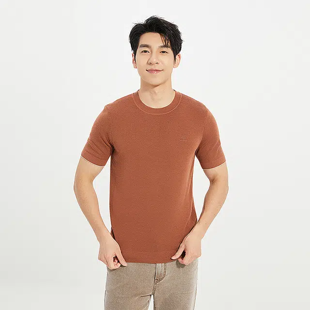 利郎 都市休闲圆领修身短袖打底衫毛衣 男款