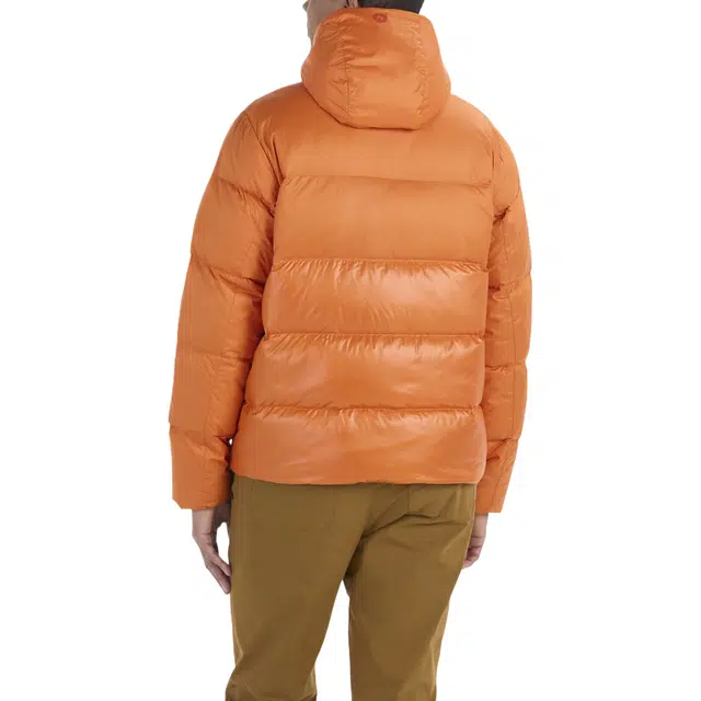 Marmot