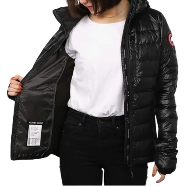 Canada Goose