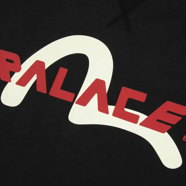 PALACE x EVISU T