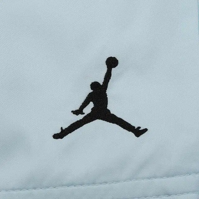 Jordan Shorts Light Blue