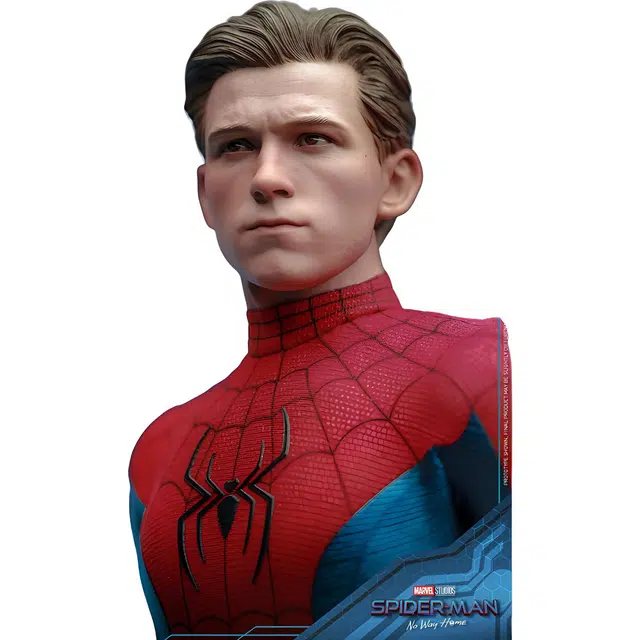 Hot Toys 29cm