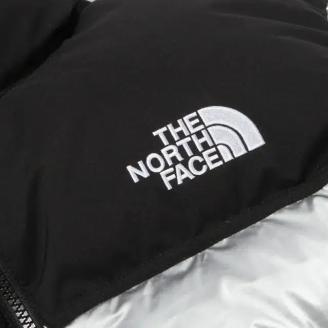 THE NORTH FACE W'S Novelty Nuptse Down Jacket Se