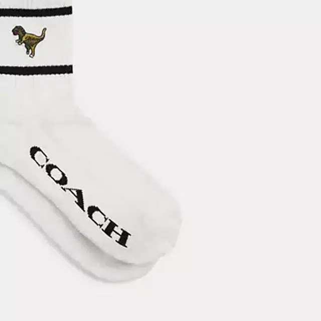 COACH 1
