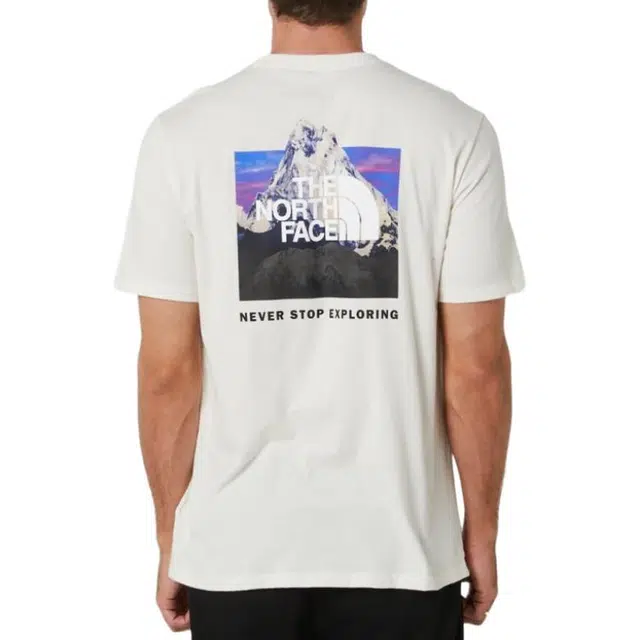THE NORTH FACE Short-Sleeve Box Nse Tee LogoT
