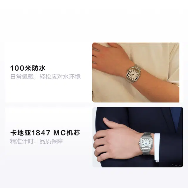 Cartier Santos WSSA0018