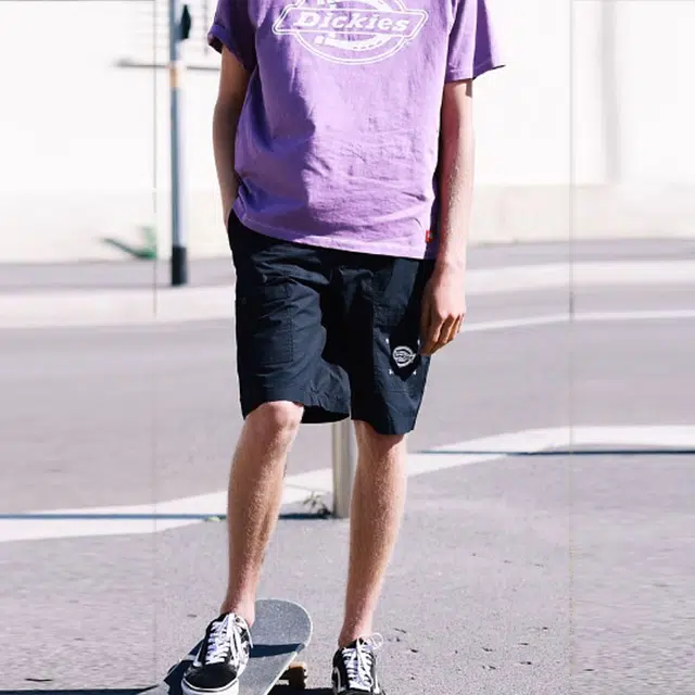 Dickies