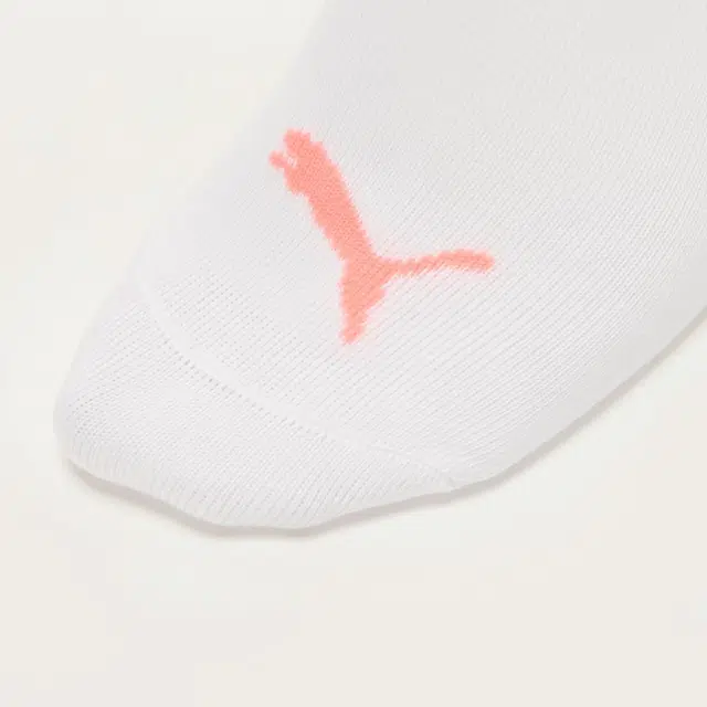 Puma APAC 3