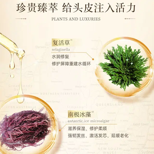 植物语录 白松露精油柔顺亮泽洗发水 护发保湿控油去屑清洁