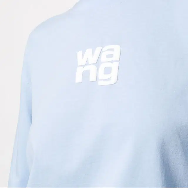 alexander wang LogoT