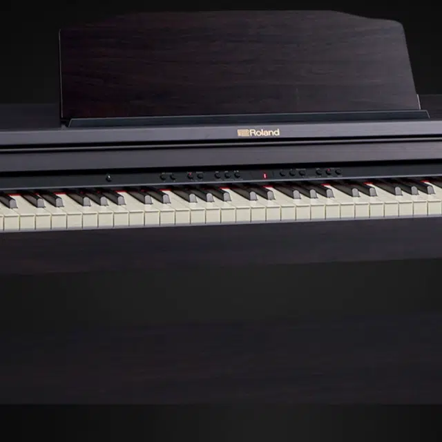 Roland () RP501R