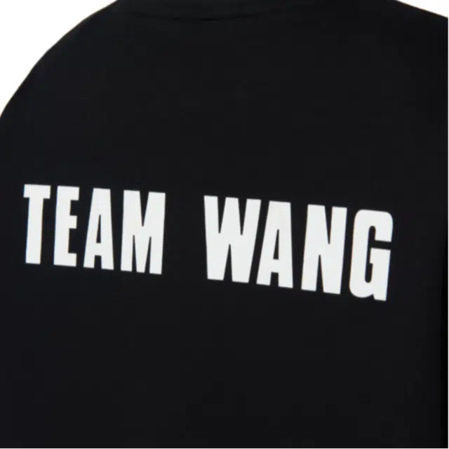 TEAM WANG design THE ORIGINAL 1T