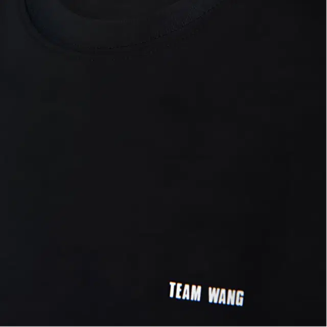 TEAM WANG design THE ORIGINAL 1T