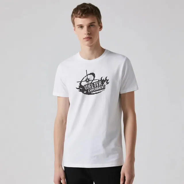 WELTER EXPERIMENT LOGO300T