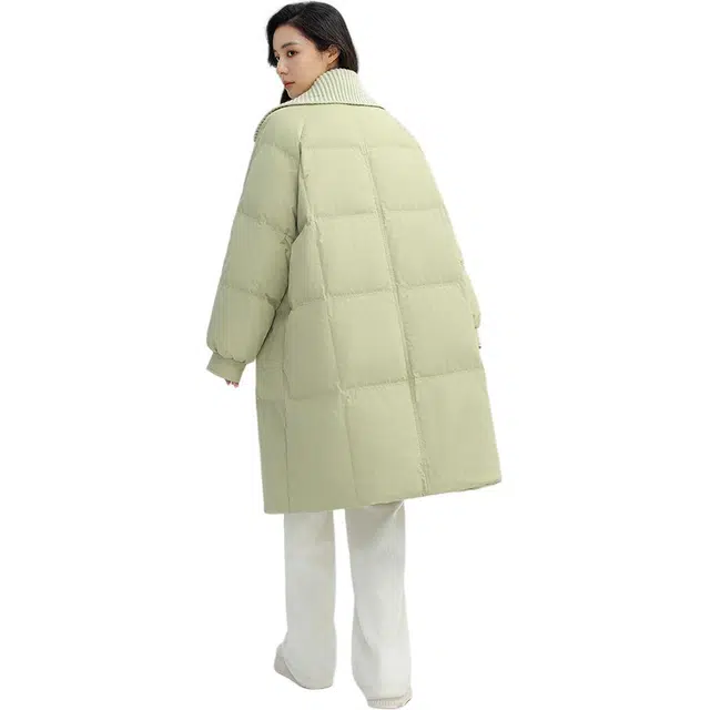 鸭鸭 时尚纯色休闲翻领百搭保暖长袖羽绒服 女款