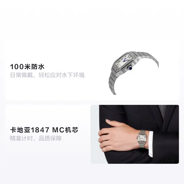 Cartier Santos WSSA0029