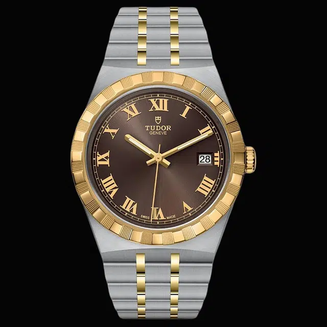 TUDOR 100 38mm M28503-0007