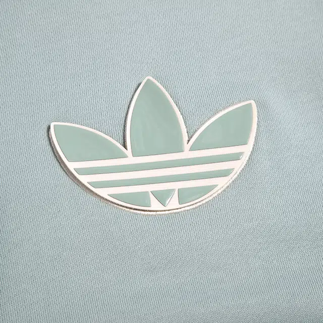 adidas originals Adicolor Hoody Logo