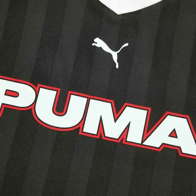 PUMA V