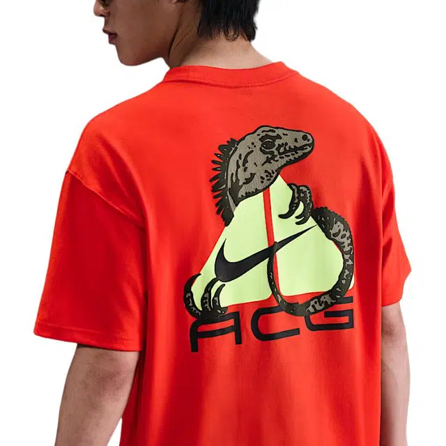 Nike Dri-Fit SS25 ACG T