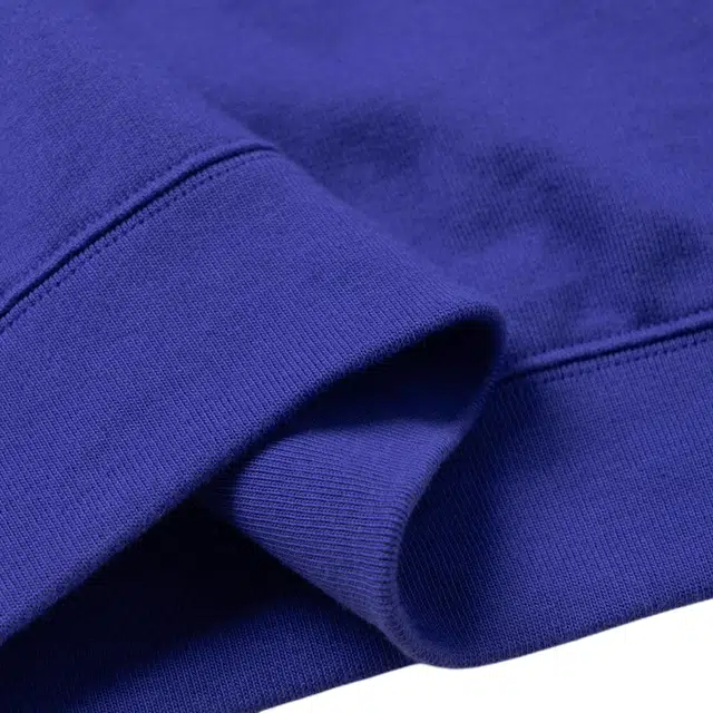 GUCCI FW22 Hoodie Purple