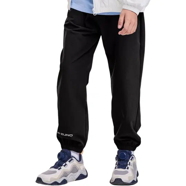 Mizuno logo
