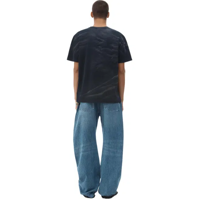 alexander wang T