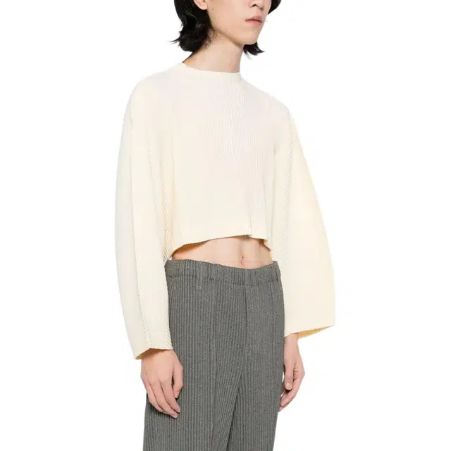 Homme Pliss Issey Miyake T