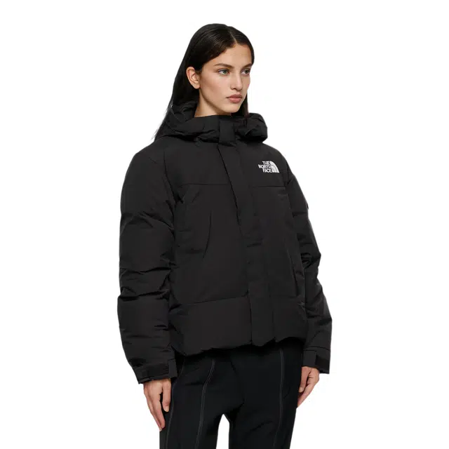 THE NORTH FACE Logo