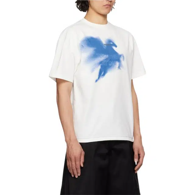 ADER ERROR T