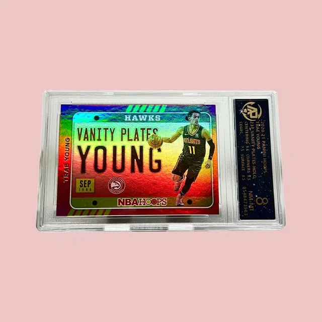 PANINI Hoops
