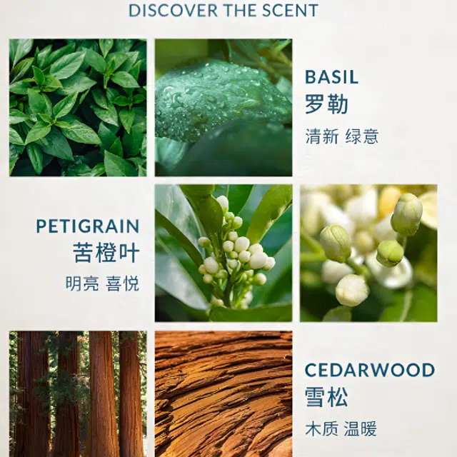 parfum