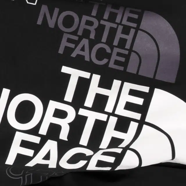 THE NORTH FACE Logo