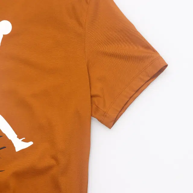 Jordan Jumpman Flight T