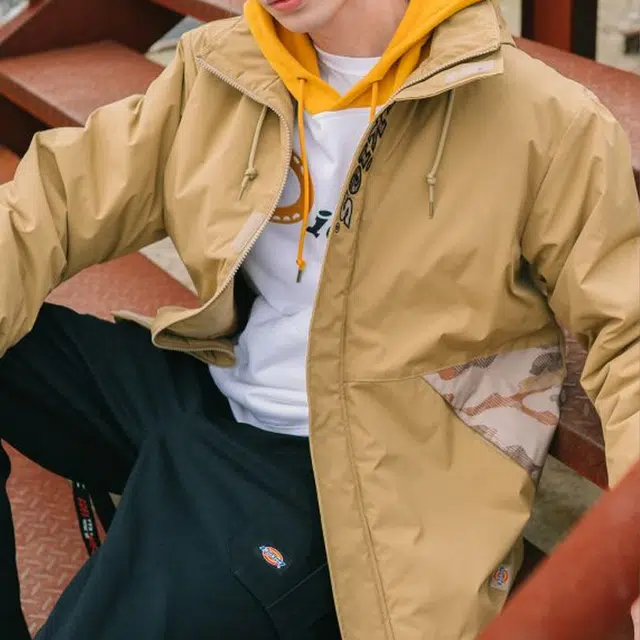 Dickies