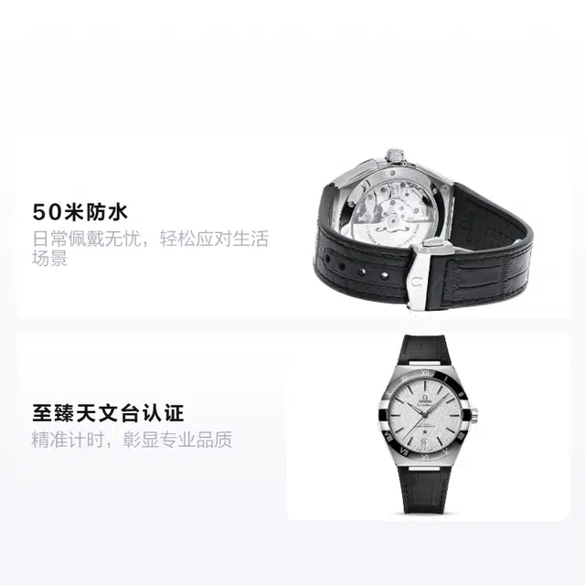 OMEGA Constellation 41mm 131.33.41.21.06.001