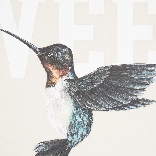 Drew House hummingbirds logo Sweet Boxy Ss Tee SS22 T