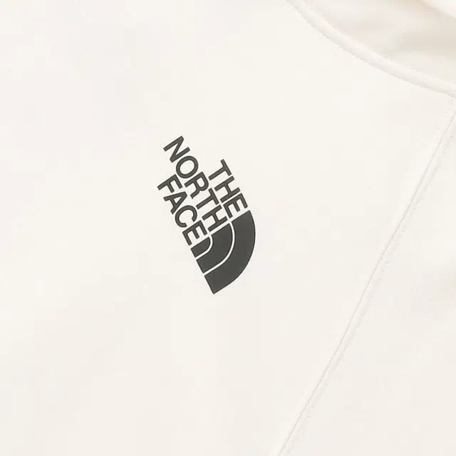 THE NORTH FACE W BOX NSE PO HDIE Logo