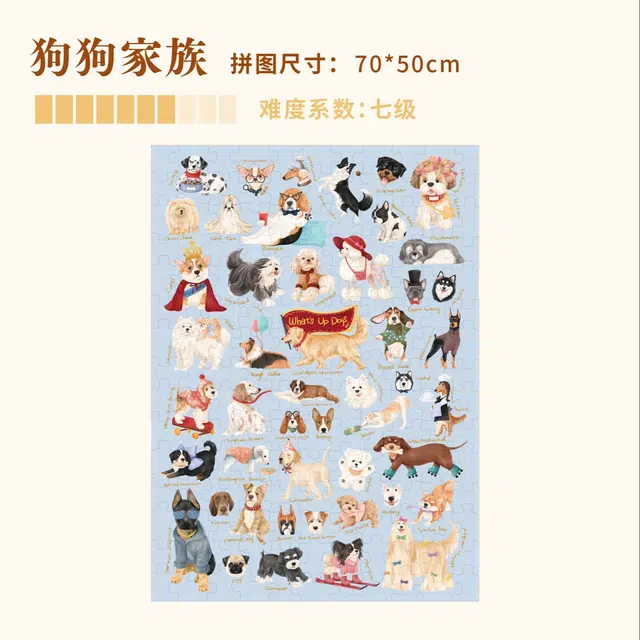 DREAM FRIENDS 1000pcs