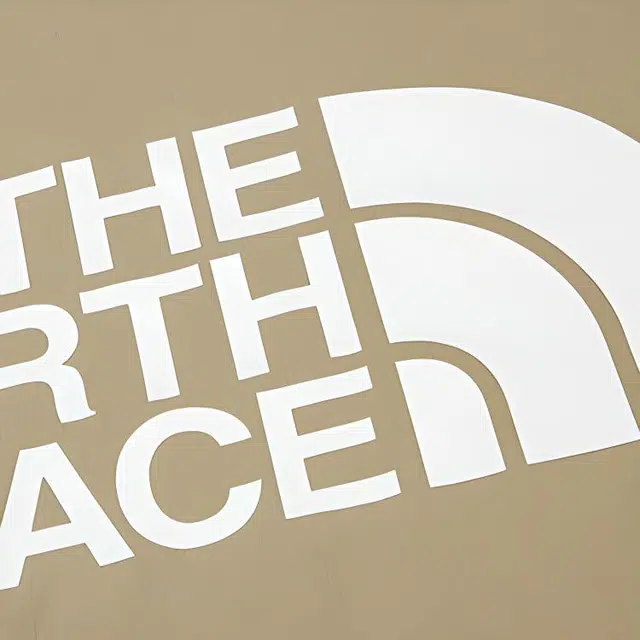 THE NORTH FACE City Woven Pullover logoT