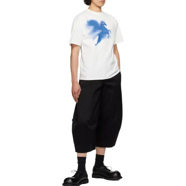 ADER ERROR T