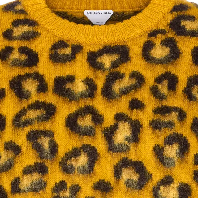 Bottega Veneta FW25