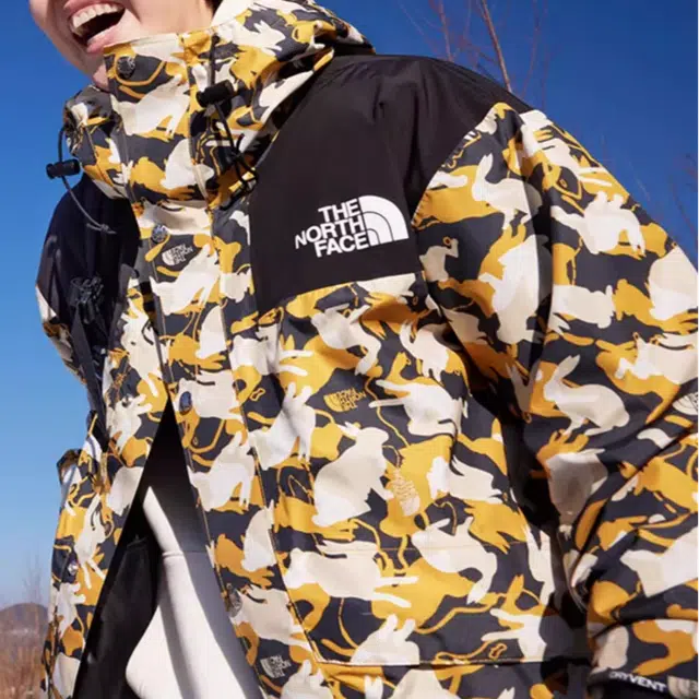 THE NORTH FACE ICON 1986 Logo