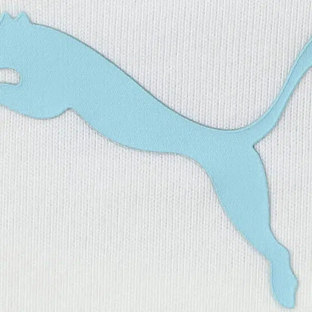 PUMA ESS WARDROBE HC SS T