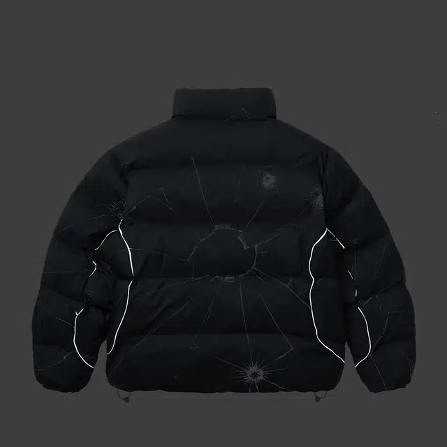 PALACE FW25 RIPSTOP PUFFA DROP1