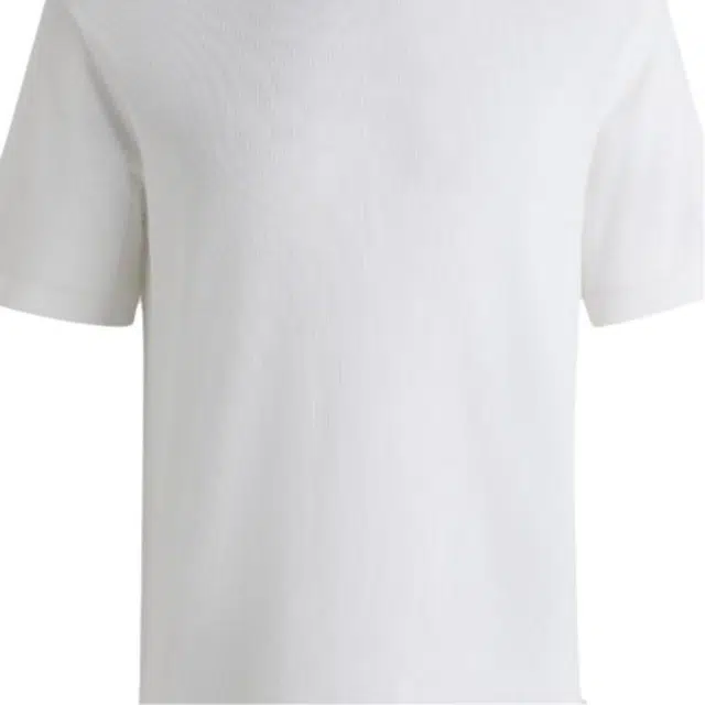 HUGO BOSS SS25 T