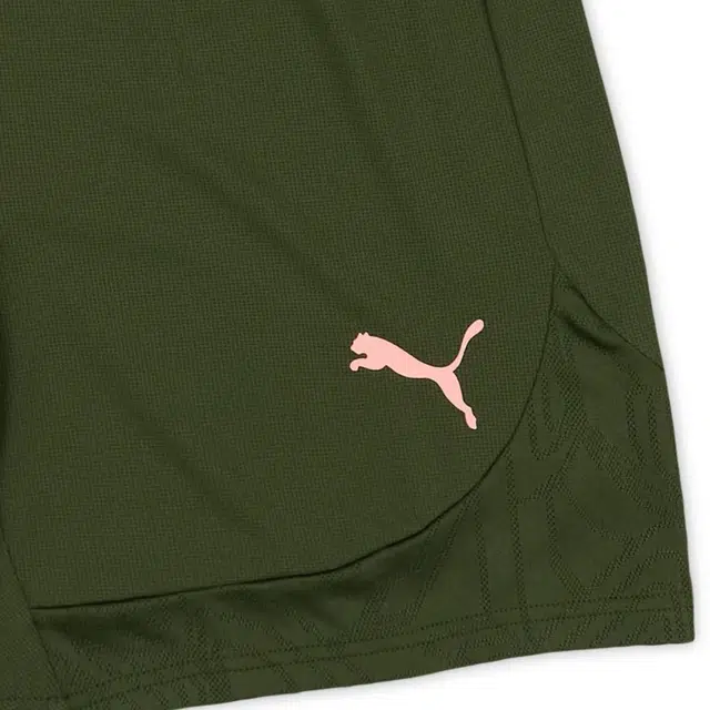 PUMA Manchester City 2024-25