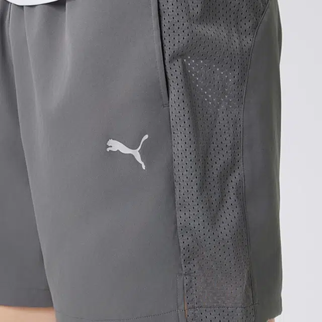 PUMA Lightweight Running logo